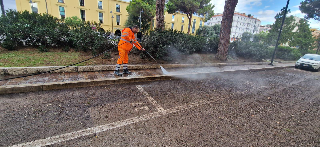 Pescara - Domani intervento di allontanamento degli storni da piazza Italia con i laser